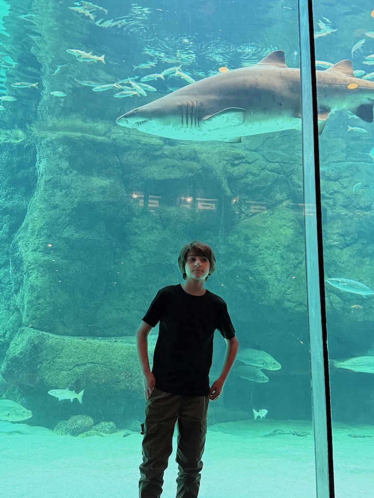 2 Oceans Aquarium