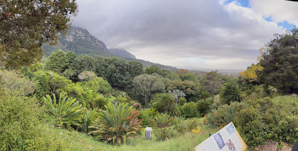 Kirstenbosch National Botanical Garden