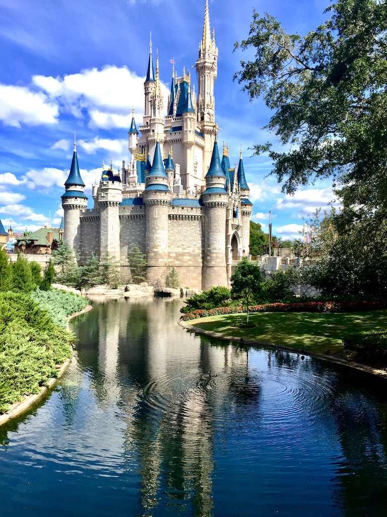 6 Simple Tips for Visiting Disney World with Your Dog