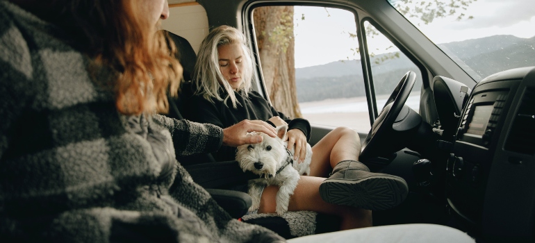 A couple traveling with pets.