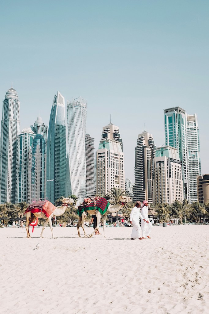 Dubai Beach with Camels