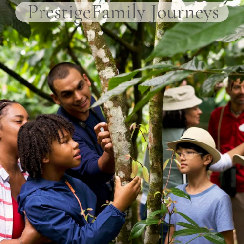 Prestige Family Journeys